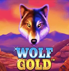 Wolf Gold Pragmaticplay Spielautomat bei Lucky Bird Casino